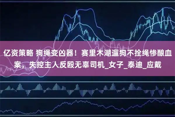 亿资策略 狗绳变凶器！赛里木湖遛狗不拴绳惨酿血案，失控主人反殴无辜司机_女子_泰迪_应戴