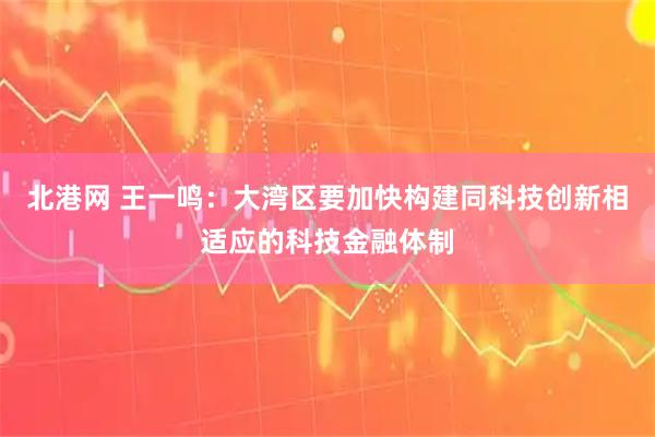 北港网 王一鸣：大湾区要加快构建同科技创新相适应的科技金融体制