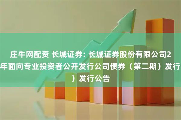 庄牛网配资 长城证券: 长城证券股份有限公司2025年面向专业投资者公开发行公司债券（第二期）发行公告